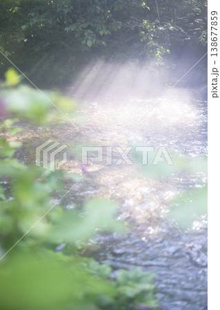新緑の森の清流に光芒が差し込む風景 大山木谷沢渓流 新緑の森の清流に光芒が差し込む風景 大山木谷沢渓流 138677859