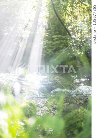 新緑の森の清流に光芒が差し込む風景 大山木谷沢渓流 新緑の森の清流に光芒が差し込む風景 大山木谷沢渓流 138677865