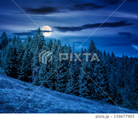 view of a hillside of mountain range with coniferous forest and meadow at night. mysterious mountain landscape in summer. nice picture with full moon for earth day fantasy background view of a hillside of mountain range with coniferous forest and meadow at night. mysterious mountain landscape in summer. nice picture with full moon for earth day fantasy background 138677905
