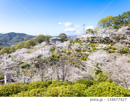爽やかな春の青空と尾道市にある千光寺公園の満開の桜の風景 138677927