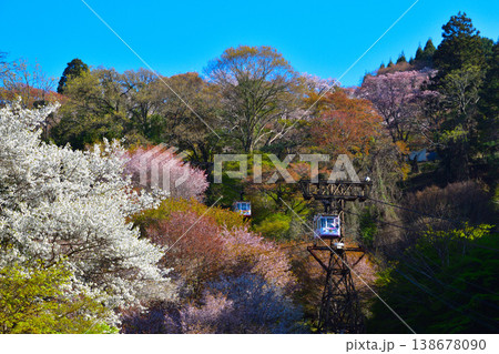 春　桜　吉野山ロープウェイ 138678090
