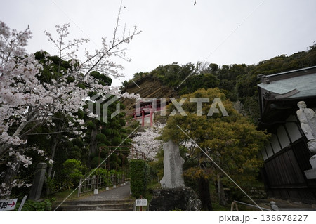崖観音と満開の桜 崖観音と満開の桜 138678227