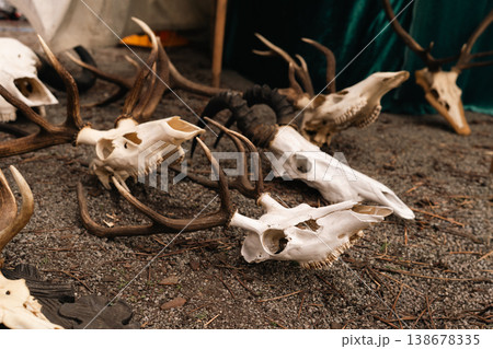 Animal skulls and antlers at Easter Knight Festival market in Berlin Animal skulls and antlers at Easter Knight Festival market in Berlin 138678335
