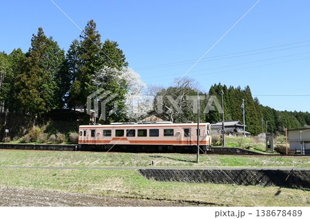 明知鉄道 飯羽間駅に咲く西洋ナシの花 138678489