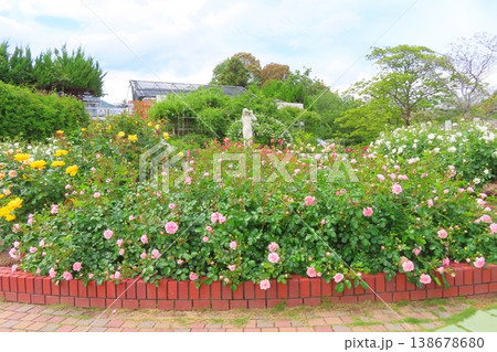 【広島県】広島市植物公園 【広島県】広島市植物公園 138678680
