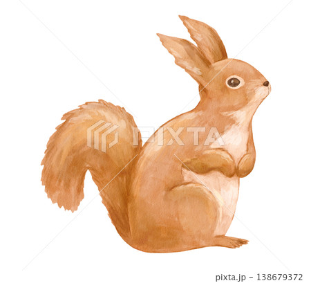 Watercolour forest squirrel. Isolated painted clipart woodland animal for cards and nursery posters. Hand drawn illustration Watercolour forest squirrel. Isolated painted clipart woodland animal for cards and nursery posters. Hand drawn illustration 138679372
