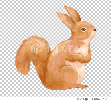 Watercolour forest squirrel. Isolated painted clipart woodland animal for cards and nursery posters. Hand drawn illustration Watercolour forest squirrel. Isolated painted clipart woodland animal for cards and nursery posters. Hand drawn illustration 138679372