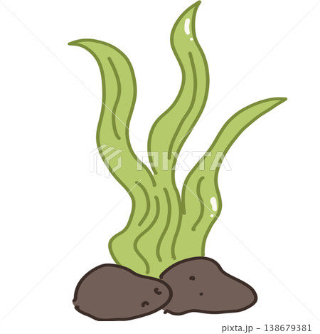 Seaweed Seaweed 138679381