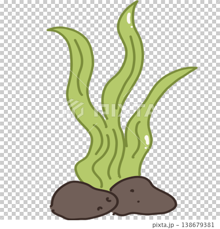 Seaweed Seaweed 138679381