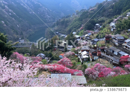 寺村地区で咲き誇る花　高知県仁淀川町 138679873