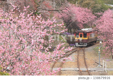 わたらせ渓谷鐵道「花桃の花に包まれる神戸駅風景」 わたらせ渓谷鐵道「花桃の花に包まれる神戸駅風景」 138679916