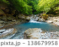 新緑のスッカン沢 138679958