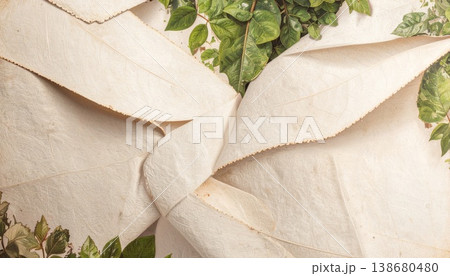 the dried plants on the white paper background the dried plants on the white paper background 138680480