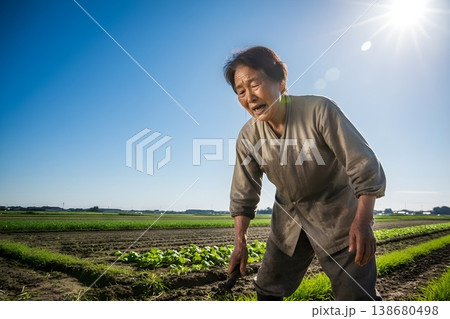 夏の日差しの下で汗だくになり畑仕事をする高齢女性の熱中症リスクイメージ(AI生成) 夏の日差しの下で汗だくになり畑仕事をする高齢女性の熱中症リスクイメージ(AI生成) 138680498