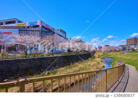 東京都稲城市の三沢川親水公園から三沢川さくら回廊を見る 東京都稲城市の三沢川親水公園から三沢川さくら回廊を見る 138680837