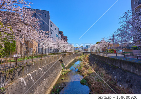 東京都稲城市東長沼の亀山橋から三沢川さくら通りの東方面(水車橋など)を見る 東京都稲城市東長沼の亀山橋から三沢川さくら通りの東方面(水車橋など)を見る 138680920