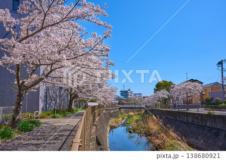 東京都稲城市東長沼の亀山橋付近から三沢川さくら通りの東方面(水車橋など)を見る 東京都稲城市東長沼の亀山橋付近から三沢川さくら通りの東方面(水車橋など)を見る 138680921