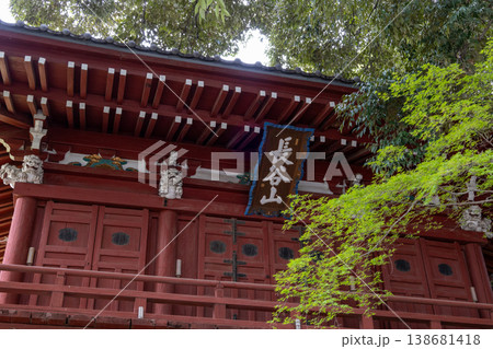 春 本土寺 境内風景 山門 春 本土寺 境内風景 山門 138681418
