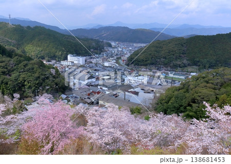 桜と佐川の町並み 高知県牧野公園 桜と佐川の町並み 高知県牧野公園 138681453