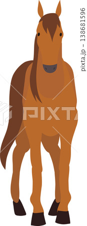 brown horse standing facing forward. brown horse front view standing farm animal flat design 138681596