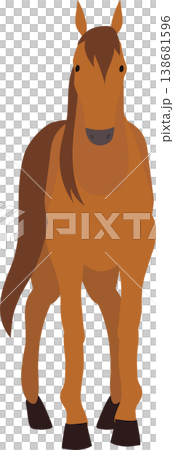 brown horse standing facing forward. brown horse front view standing farm animal flat design 138681596