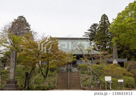 春　本土寺　境内風景　本堂 138681613