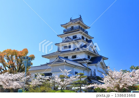 【愛媛県】桜が満開の今治城 天守閣 【愛媛県】桜が満開の今治城 天守閣 138681668