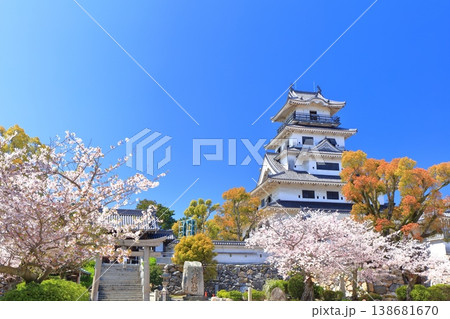 【愛媛県】桜が満開の今治城 天守閣 【愛媛県】桜が満開の今治城 天守閣 138681670