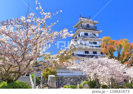 【愛媛県】桜が満開の今治城 天守閣 138681673