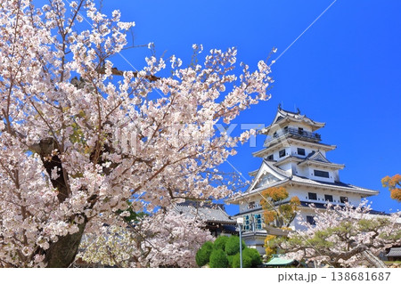 【愛媛県】桜が満開の今治城 天守閣 【愛媛県】桜が満開の今治城 天守閣 138681687