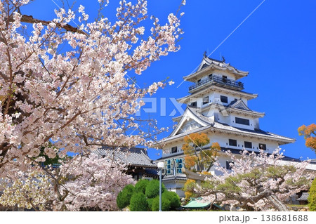 【愛媛県】桜が満開の今治城 天守閣 【愛媛県】桜が満開の今治城 天守閣 138681688
