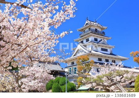【愛媛県】桜が満開の今治城 天守閣 138681689