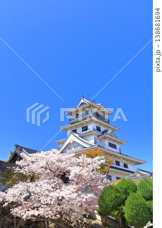 【愛媛県】桜が満開の今治城 天守閣 138681694