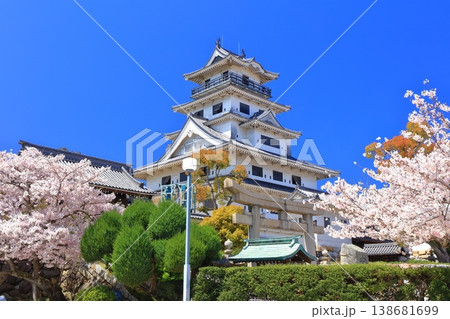 【愛媛県】桜が満開の今治城 天守閣 【愛媛県】桜が満開の今治城 天守閣 138681699