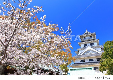 【愛媛県】桜が満開の今治城 天守閣 138681703