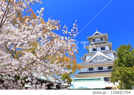 【愛媛県】桜が満開の今治城 天守閣 【愛媛県】桜が満開の今治城 天守閣 138681704