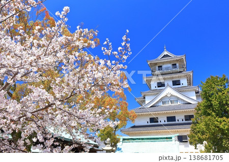 【愛媛県】桜が満開の今治城 天守閣 【愛媛県】桜が満開の今治城 天守閣 138681705