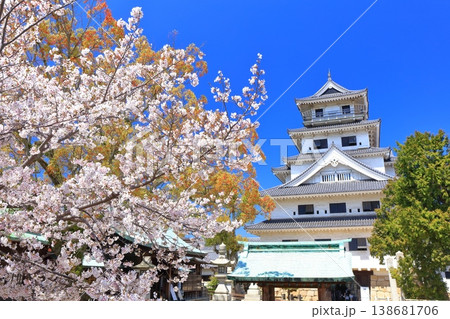【愛媛県】桜が満開の今治城 天守閣 【愛媛県】桜が満開の今治城 天守閣 138681706