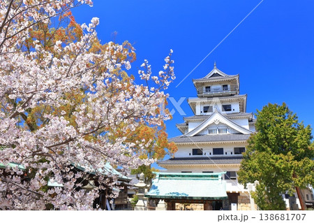 【愛媛県】桜が満開の今治城 天守閣 138681707