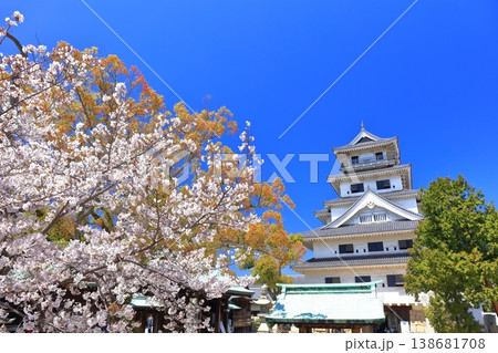 【愛媛県】桜が満開の今治城 天守閣 【愛媛県】桜が満開の今治城 天守閣 138681708