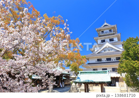 【愛媛県】桜が満開の今治城 天守閣 【愛媛県】桜が満開の今治城 天守閣 138681710