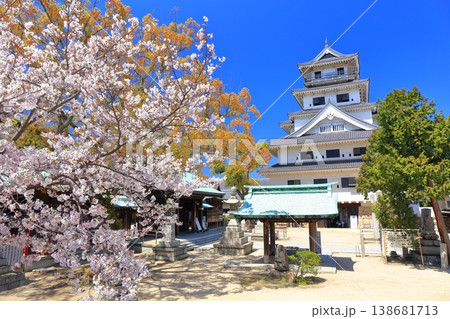 【愛媛県】桜が満開の今治城 天守閣 138681713