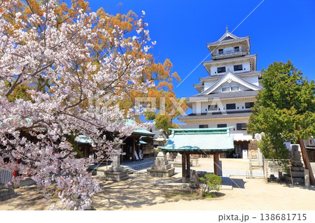 【愛媛県】桜が満開の今治城 天守閣 【愛媛県】桜が満開の今治城 天守閣 138681715