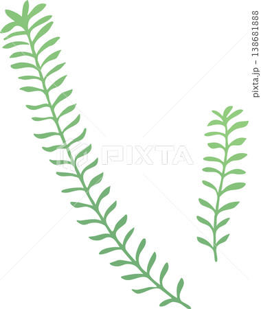 水草のイラスト フラットベクター｜水中・アクアリウムの植物素材（シンプル・白背景） 138681888