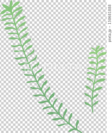 水草のイラスト フラットベクター｜水中・アクアリウムの植物素材（シンプル・白背景） 138681888