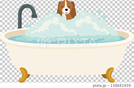 cute dog bathing in bathtub with foam bubbles pet care and grooming cute dog bathing in bathtub with foam bubbles pet care and grooming 138681939