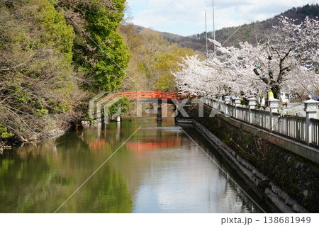 山梨県　武田神社の風景 138681949