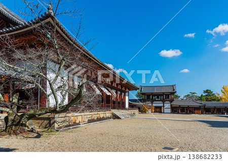 ユネスコ世界遺産　奈良県斑鳩の里　国宝法隆寺　聖徳太子 138682233
