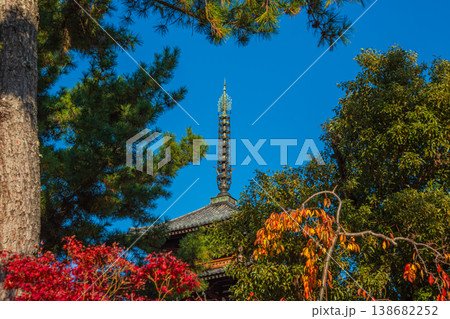 ユネスコ世界遺産　奈良県斑鳩の里　国宝法隆寺　聖徳太子 138682252