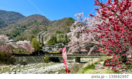 薄紅色の桜、赤白ピンクの花桃が青空に映える昼神温泉せせらぎの散歩道〈長野県下伊那郡阿智村〉 138682897